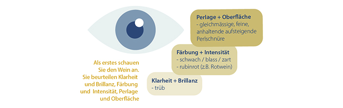 Bei einer Weindegustation beurteilen Sie mit den Augen die Farbe und Intensität. 